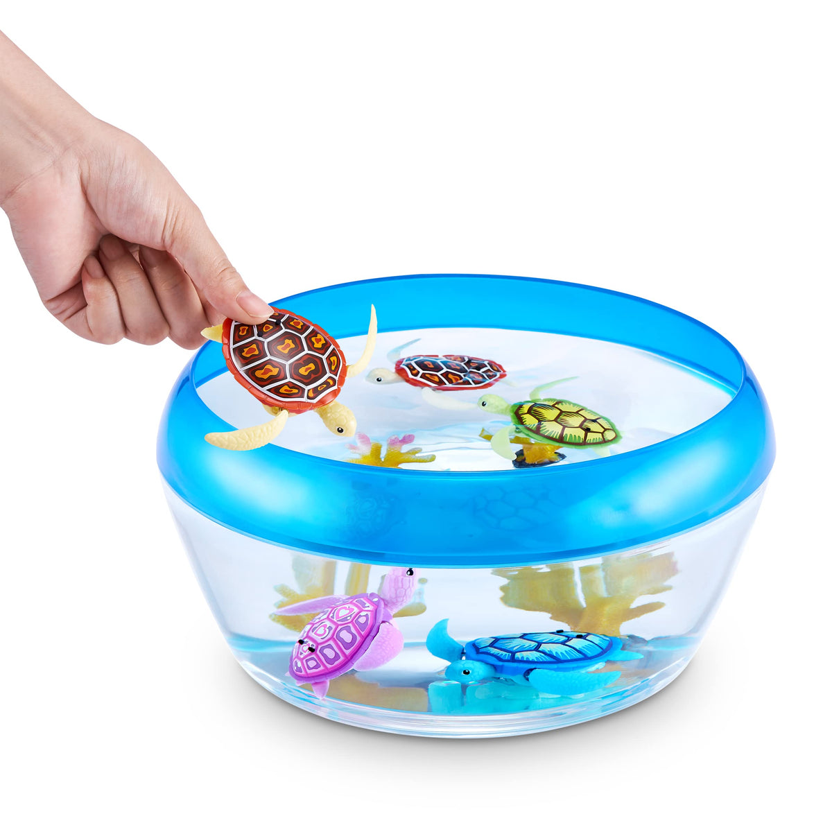 Robo Alive Robo Turtle Robotic Swimming Turtle (Orange + Blue) by ZURU Water Activated, Comes with Batteries, Amazon Exclusive (2 Pack)