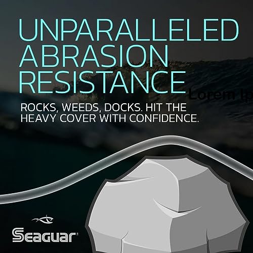 Seaguar Blue Label Fishing Leader Line for Saltwater, 100% Fluorocarbon, Clear, Multiple Sizes