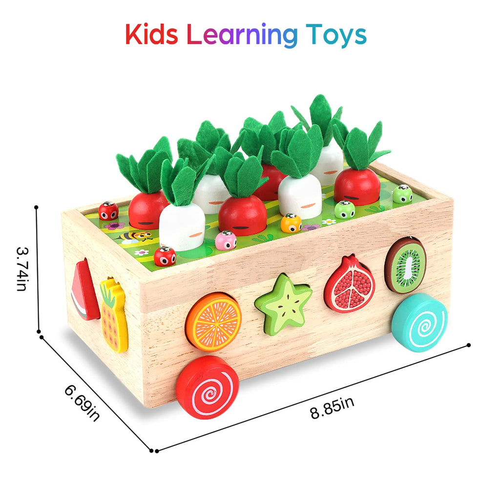 Toddlers Montessori Wooden Educational Toys for Boys Girls Age 1-3 Year Old | Shape Sorting Toys 1st One First Birthday Girl Gifts for Baby Kids 1 2 3, Wood Preschool Learning Fine Motor Skills Game