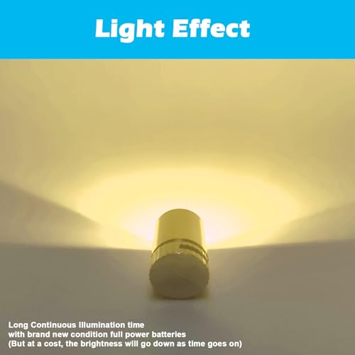 SUZEYAR 10 pcs Miniature Led Lights,Tiny Lights for Hand Craft/DIY,Miniature Lights Battery Powered, Dollhouse Light,Mini Lights for Toy Brick Building Blocks- 10 Pack (Warm White)