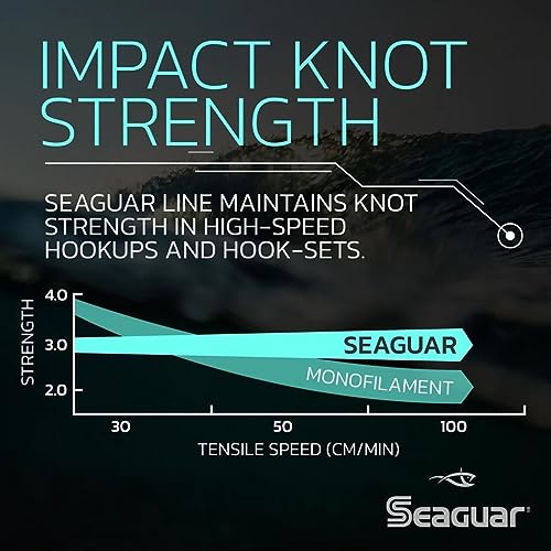 Seaguar Blue Label Fishing Leader Line for Saltwater, 100% Fluorocarbon, Clear, Multiple Sizes