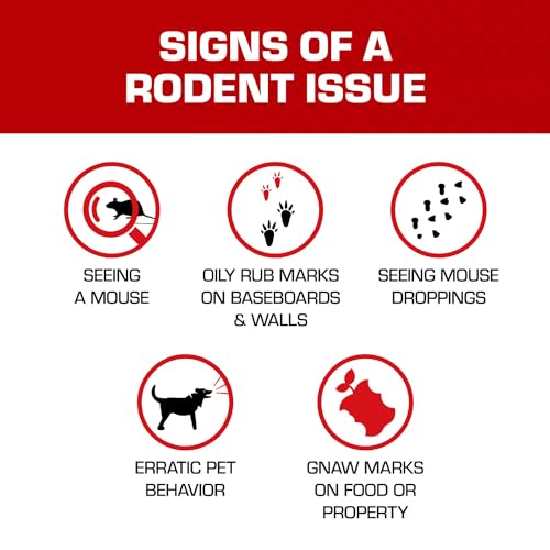 Tomcat Attractant Gel, Bait for Mouse Traps and Rat Traps, 1 oz. | Attracts Mice and Rats, Enhances Trap Effectiveness, Pre-Mixed Ready-To-Use for Any Trap, Non-Toxic for Children & Pets