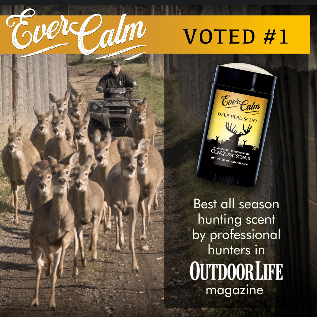 Conquest Scents EverCalm Deer Herd Scent, Deer Attractant Original Formula | Calming Scent from Deer Bedding Areas, for Pre-Rut, Rut and Post-Rut, Versatile Hunting Scents