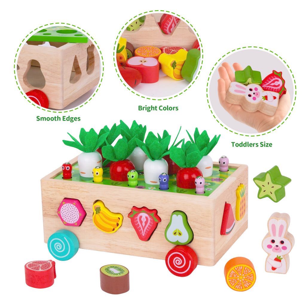 Toddlers Montessori Wooden Educational Toys for Boys Girls Age 1-3 Year Old | Shape Sorting Toys 1st One First Birthday Girl Gifts for Baby Kids 1 2 3, Wood Preschool Learning Fine Motor Skills Game