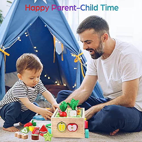 Toddlers Montessori Wooden Educational Toys for Boys Girls Age 1-3 Year Old | Shape Sorting Toys 1st One First Birthday Girl Gifts for Baby Kids 1 2 3, Wood Preschool Learning Fine Motor Skills Game