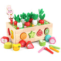Toddlers Montessori Wooden Educational Toys for Boys Girls Age 1-3 Year Old | Shape Sorting Toys 1st One First Birthday Girl Gifts for Baby Kids 1 2 3, Wood Preschool Learning Fine Motor Skills Game