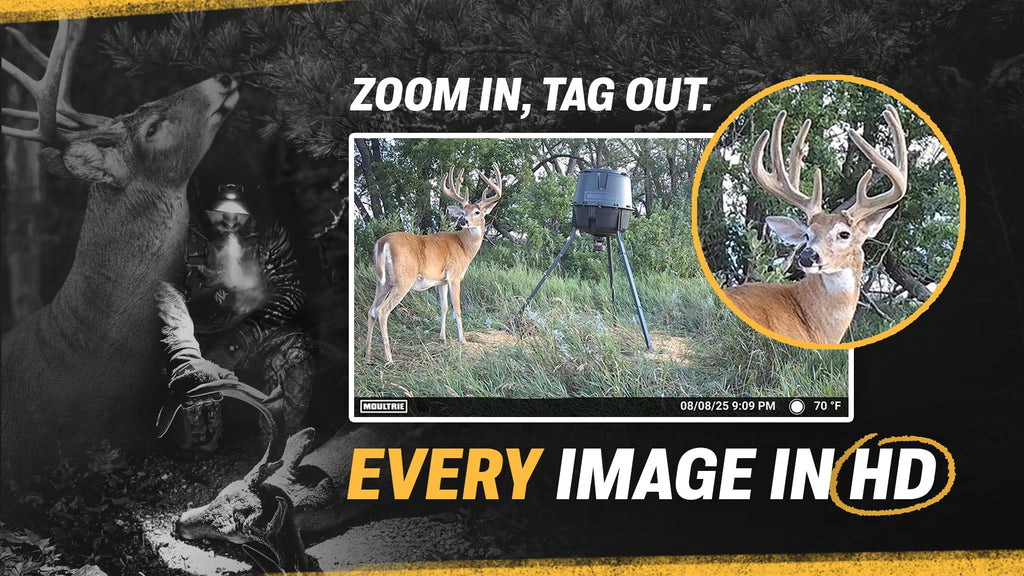 Moultrie Edge 3 Cellular Trail Camera - 2-Pack, 40MP, 0.5s Trigger | Scout from Anywhere, HD photos via Mobile app, 1080p video, multi-carrier, low-glow flash, GPS, Two Pack