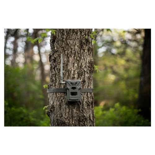 SPYPOINT Flex-M Twin, Cellular Trail Camera, Night Vision, Free Photo Plan | Auto Multi Cell-Network, LTE, GPS, Waterproof, 0.5 Second Trigger, 28MP Photo, 720p Video+ Sound, 90Ft Motion Dection & Flash