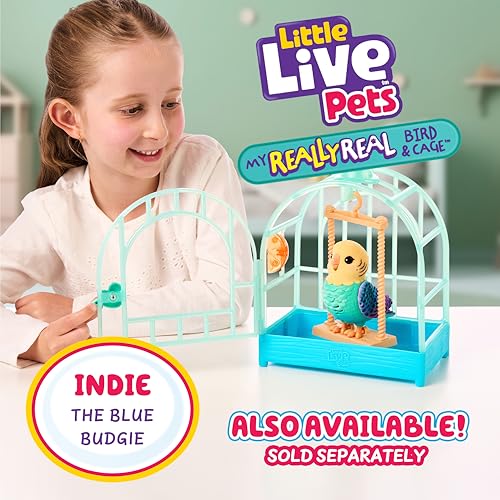 Little Live Pets My Really Real Talking Bird Toy & Cage - Rosie, Interactive Voice Repeating Toy, 20+ Sounds & Reactions, Talking Toys for Kids 5-7