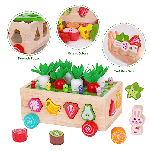 Toddlers Montessori Wooden Educational Toys for Boys Girls Age 1-3 Year Old | Shape Sorting Toys 1st One First Birthday Girl Gifts for Baby Kids 1 2 3, Wood Preschool Learning Fine Motor Skills Game